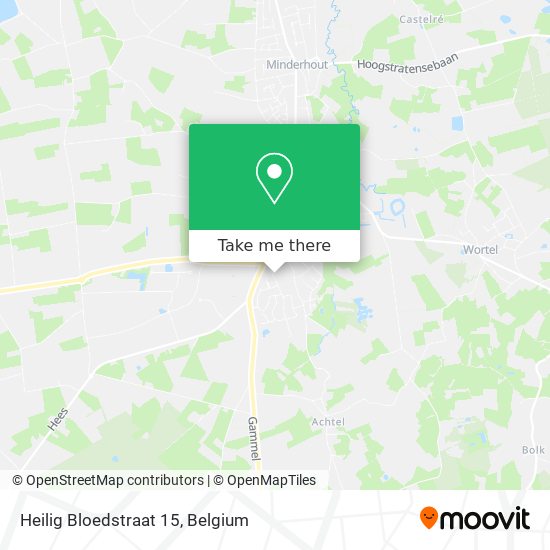 Heilig Bloedstraat 15 plan