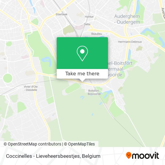 Coccinelles - Lieveheersbeestjes map