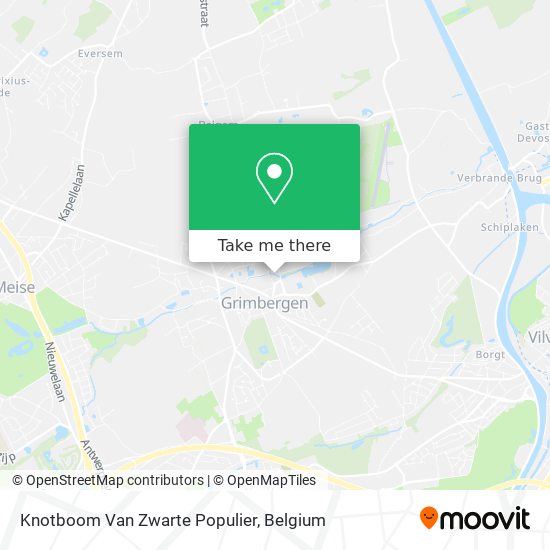 Knotboom Van Zwarte Populier map