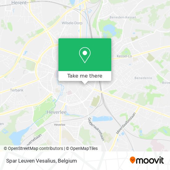 Spar Leuven Vesalius map