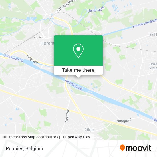 Puppies map