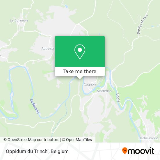 Oppidum du Trinchî plan