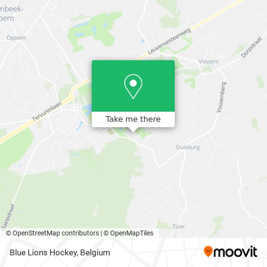 Blue Lions Hockey plan