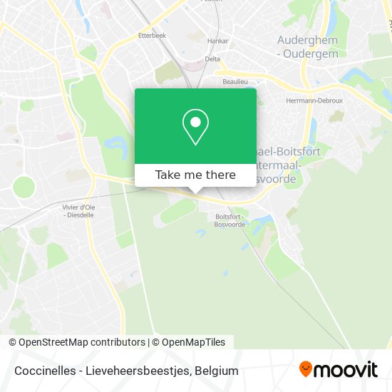 Coccinelles - Lieveheersbeestjes map