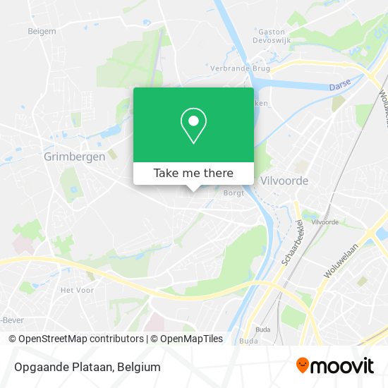 Opgaande Plataan plan