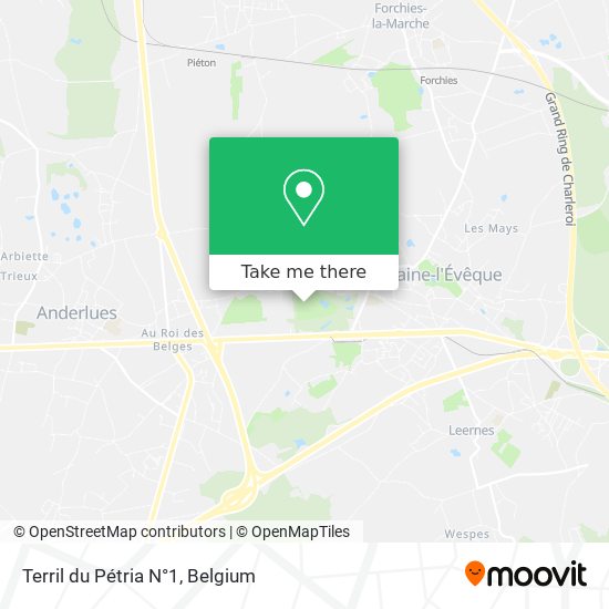Terril du Pétria N°1 plan