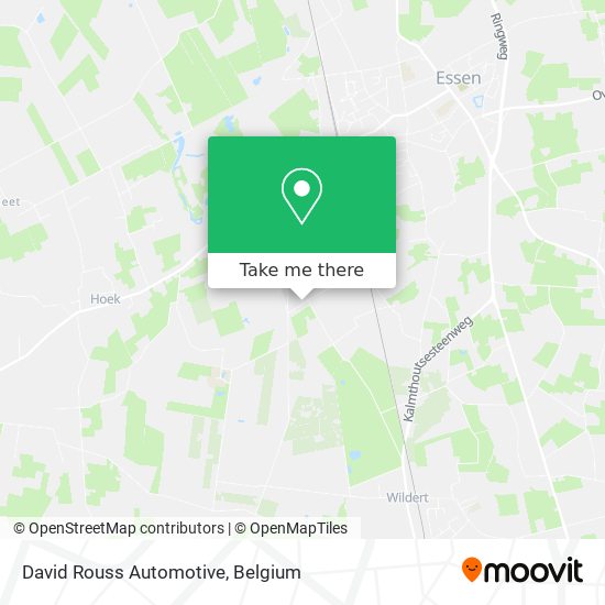 David Rouss Automotive plan