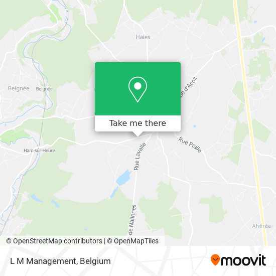 L M Management map