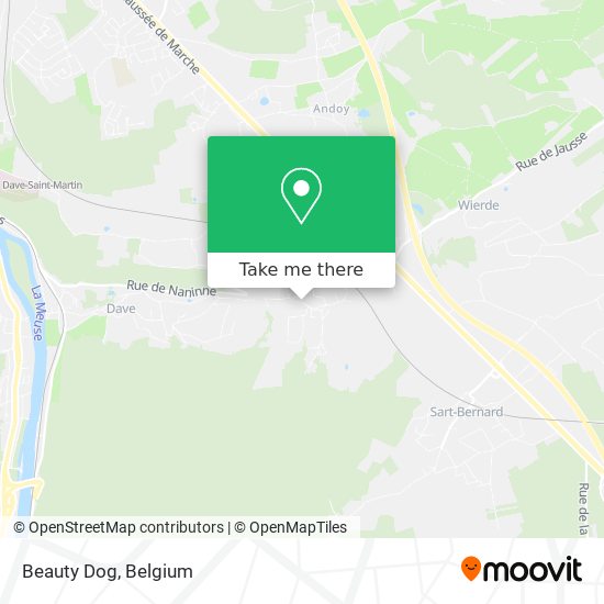 Beauty Dog map