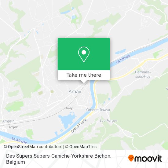 Des Supers Supers-Caniche-Yorkshire-Bichon map