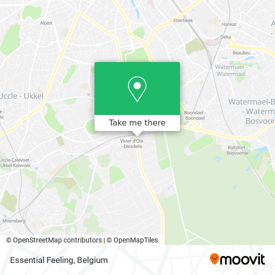 Essential Feeling map