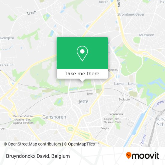Bruyndonckx David plan