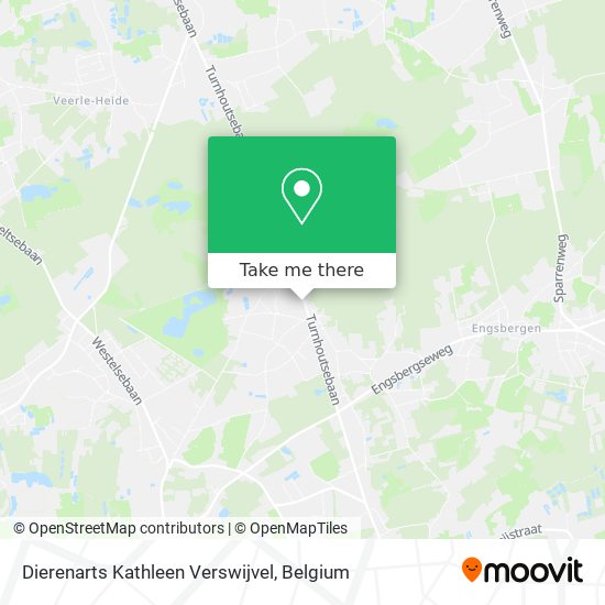 Dierenarts Kathleen Verswijvel map