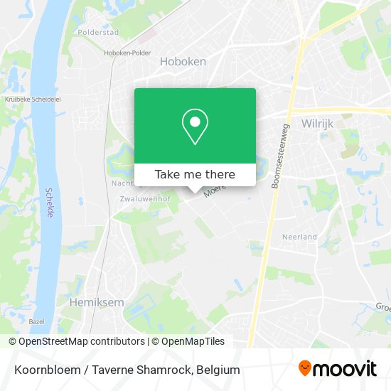 Koornbloem / Taverne Shamrock map