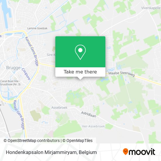 Hondenkapsalon Mirjammiryam plan