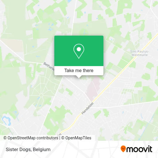 Sister Dogs map