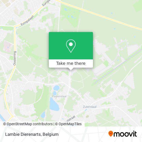 Lambie Dierenarts plan