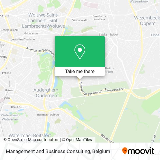 Management and Business Consulting map