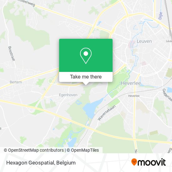 Hexagon Geospatial map