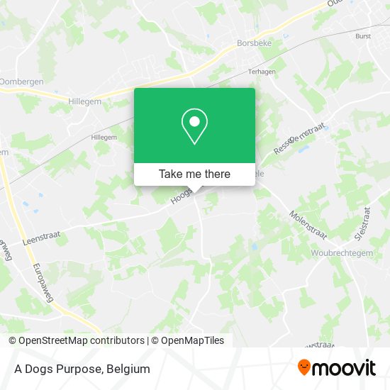A Dogs Purpose map