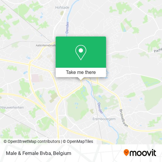Male & Female Bvba map