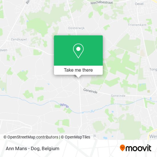 Ann Mans - Dog map