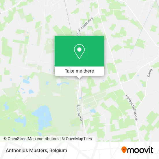 Anthonius Musters map