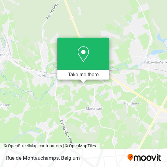 Rue de Montauchamps plan