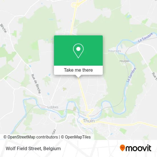 Wolf Field Street map