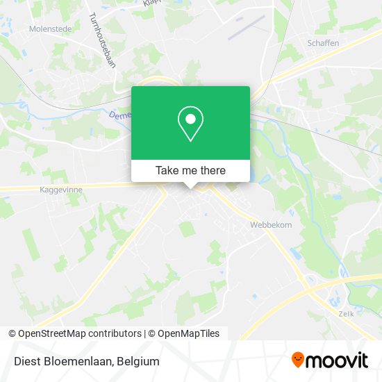 Diest Bloemenlaan map