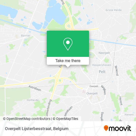 Overpelt Lijsterbesstraat plan