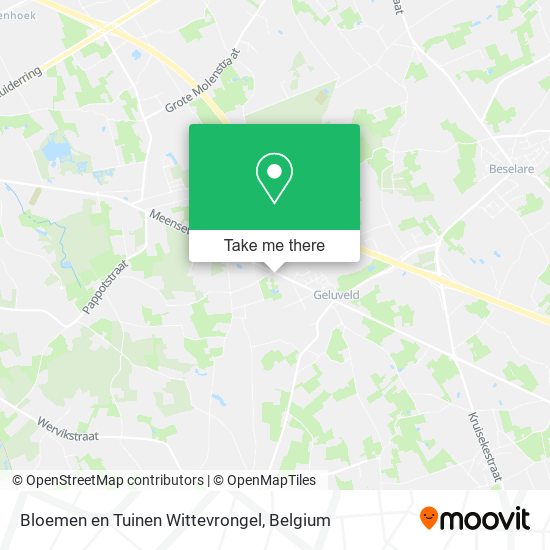 Bloemen en Tuinen Wittevrongel plan