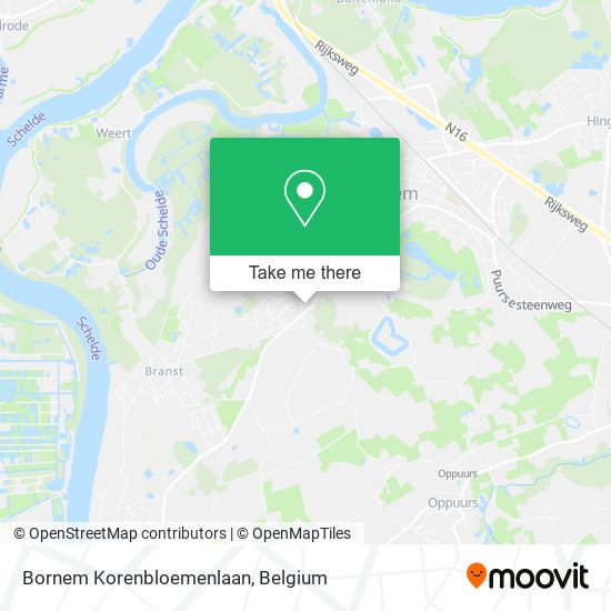 Bornem Korenbloemenlaan map