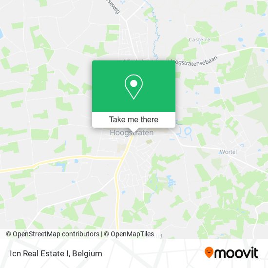 Icn Real Estate I map