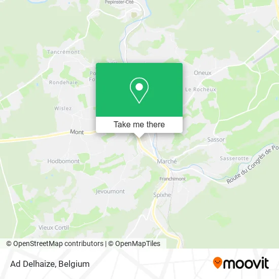 Ad Delhaize map