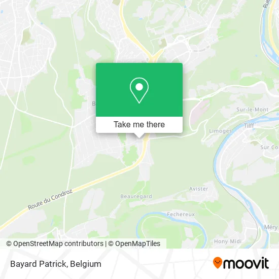 Bayard Patrick map