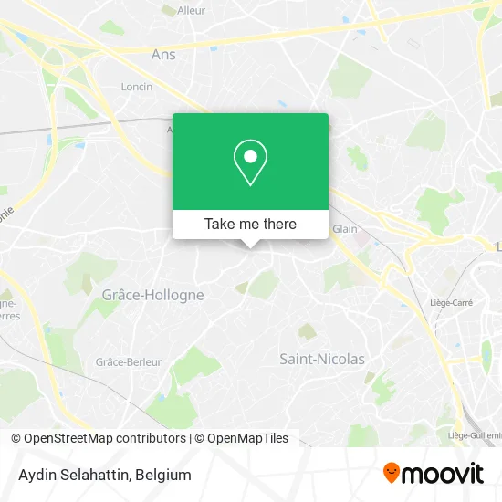 Aydin Selahattin map
