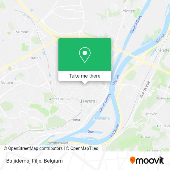 Baljidemaj Filje map