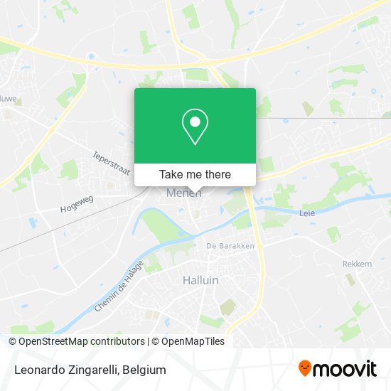 Leonardo Zingarelli plan
