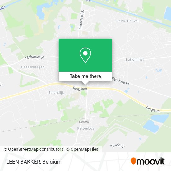 LEEN BAKKER plan