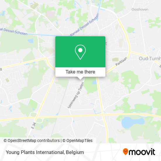 Young Plants International plan