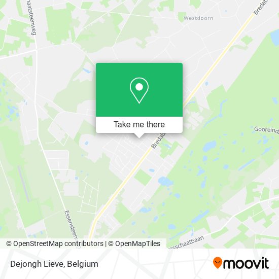 Dejongh Lieve map