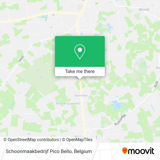 Schoonmaakbedrijf Pico Bello plan