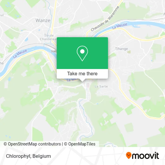 Chlorophyl map