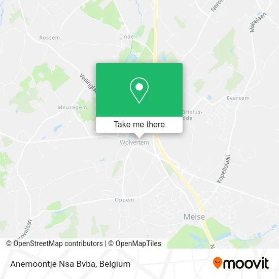 Anemoontje Nsa Bvba plan