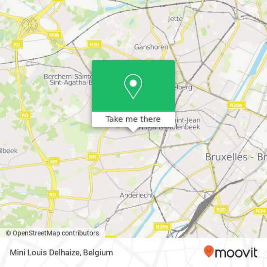 Mini Louis Delhaize map