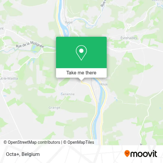Octa+ map