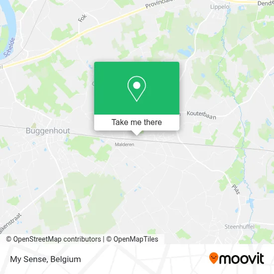 My Sense map