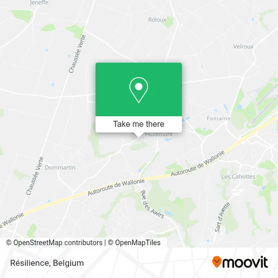 Résilience map