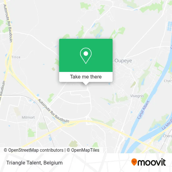 Triangle Talent map